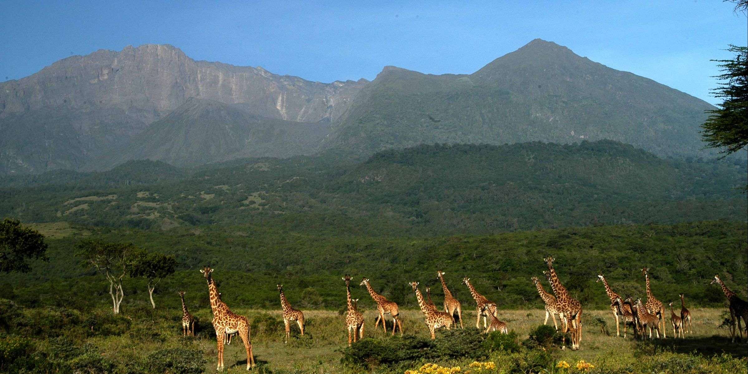 Arusha National Park / Lake Manyara / Tarangire  1 Days  Wildlife